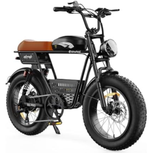 Fat Tire 20'' Electric Dirt Bike