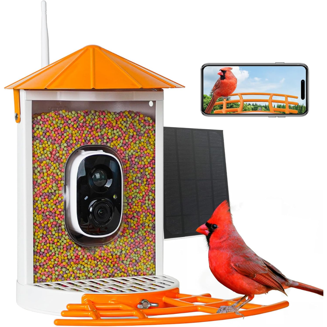 Smart Solar-Powered Bird Feeder Camera