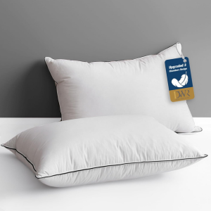 2-Pack Goose Feather Down Core Pillow