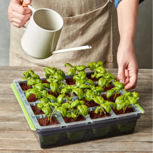 Burpee 16-Cell Seed Starting Tray Kit
