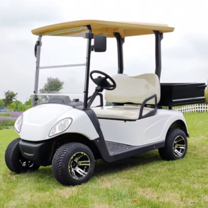 2-Seat Electric Off-Road Golf Cart