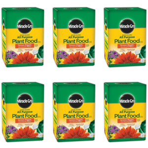 Miracle-Gro 6-Pack All Purpose Plant Food