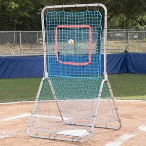 Champion Sports Rebound Pitchback Net