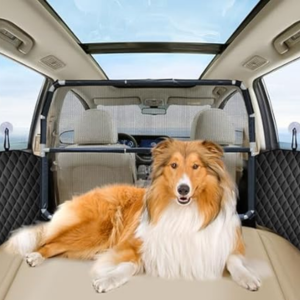 Dog Car Barrier w/Door Protectors