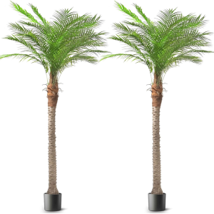 Set of 2 Artificial 9' Phoenix Palm Trees w/Planter