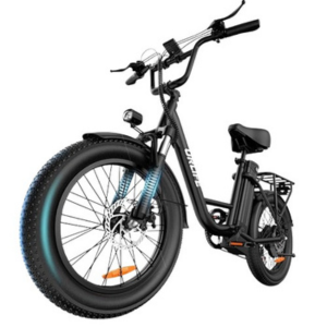 Fat Tire Electric Bike 20