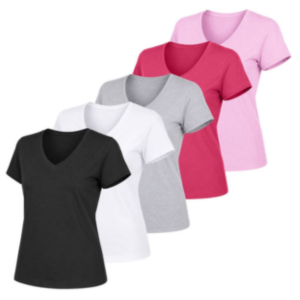 5-Pack Women’s Fit V-Neck T-Shirt