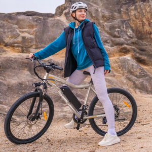 Foldable 23mph 700W Electric Bike