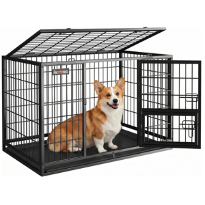 Heavy Duty 36'' Double Door Dog Crate