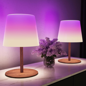 2-Pack Cordless RGB Table Lamps