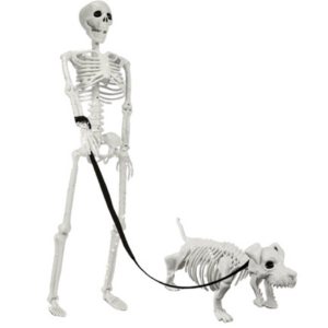 Halloween 3' Lighted Human & 22