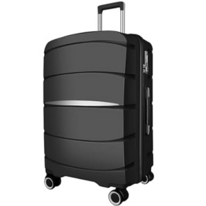 Axidou 20'' Carry-On Spinner Luggage