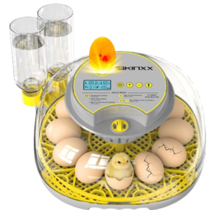 Automatic 12-Egg Incubator