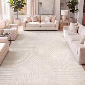Washable Non-Shedding 5' Area Rug