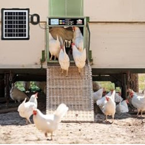 Automatic Solar Chicken Coop Door