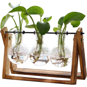 3-Bulb Vase Plant Terrarium Air Planter