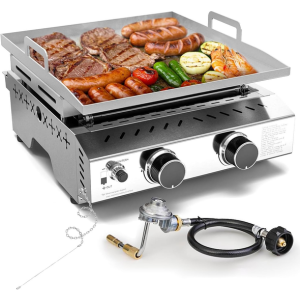 Portable 16000 BTU 2-Burner Tabletop Grill