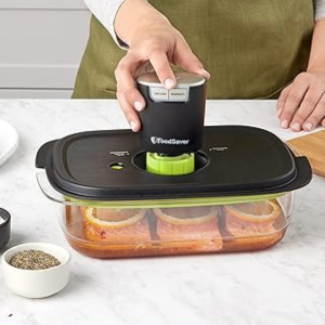 FoodSaver Handheld Vacuum Sealer & Marinator