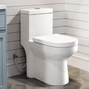 Hanikes One-Piece Dual Flush Toilet