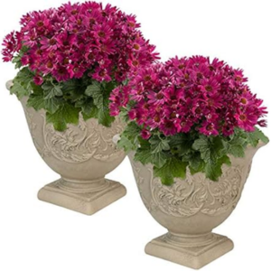 Set of 2 Round Plant Pot
