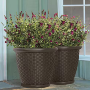 Set of 2 Resin Wicker Planters