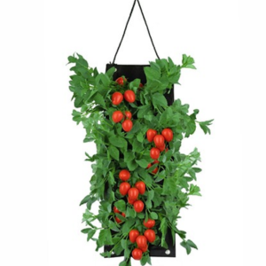 Touch Of ECO Organic Seed Hanging Planter