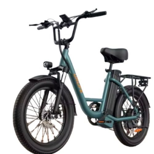 Urlife 1000W/28MPH E20 eBike